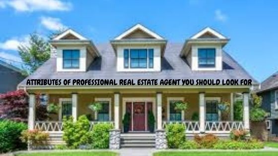  Professional Real Estate Agent